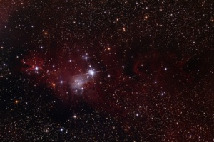 NGC 2264 par Gkar2014https://astrob.in/73815/0/